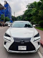Lexus NX 300h AWD 2018 Pearl for sale