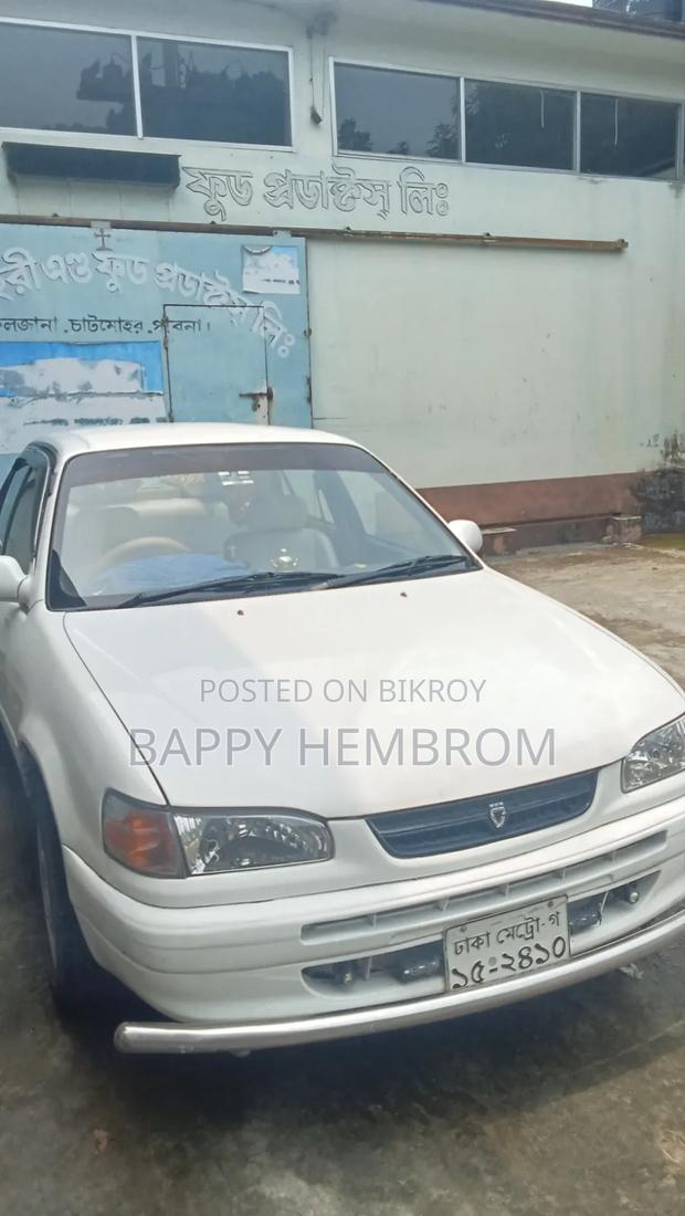 Toyota Corolla 1998 White