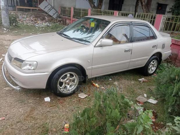 Car 2025 Beige