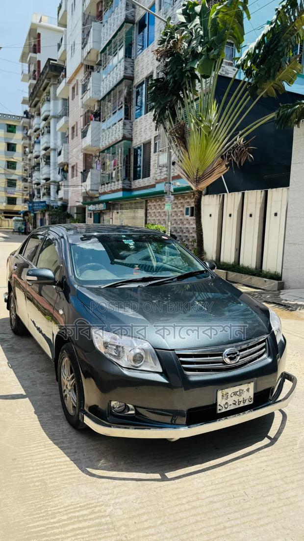 Toyota Axio 2011 Gray