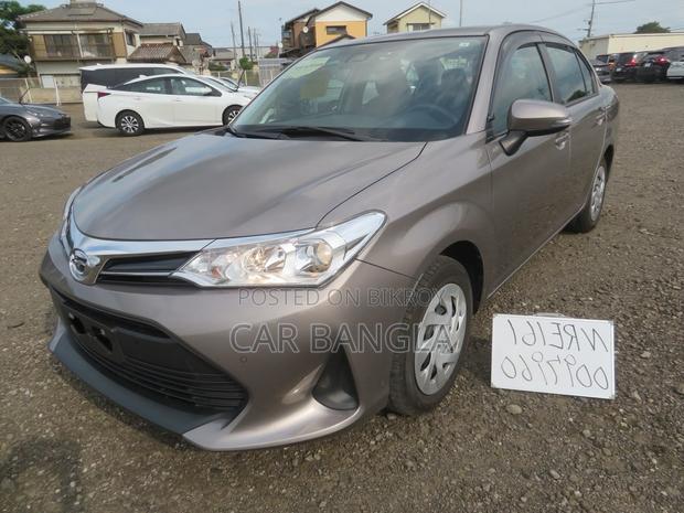 Toyota Axio 2021 Brown