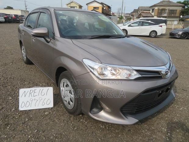 Toyota Axio 2021 Brown