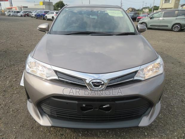 Toyota Axio 2021 Brown