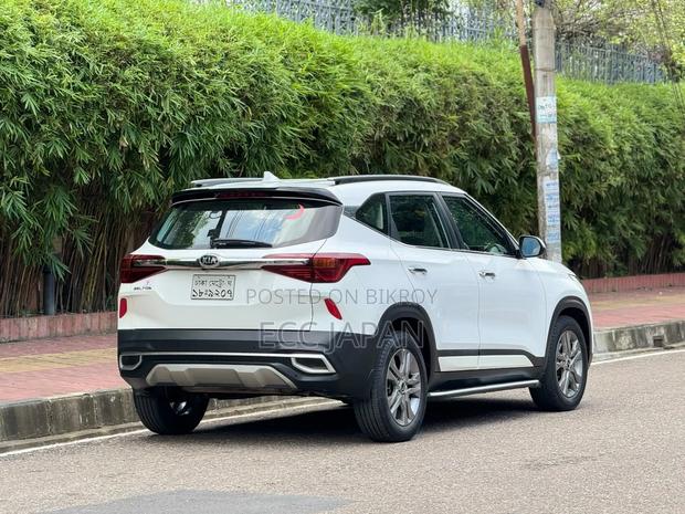 Kia Seltos 2019 Pearl