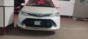 Toyota Corolla Fielder 2017 White for sale