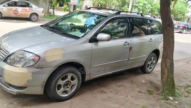 Toyota Corolla Fielder 2004 Silver