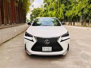 Lexus NX 2014 Pearl for sale
