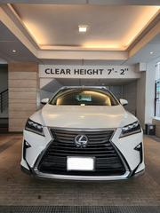 New Lexus RX 2019 Pearl for sale
