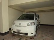 Toyota Porte 1.3 FWD 2009 Pearl for sale