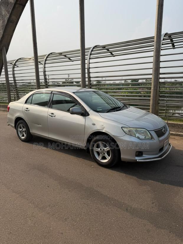 Toyota Axio 2009 Silver