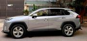 Toyota RAV4 XLE AWD 2019 Gray for sale