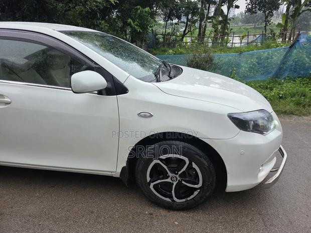 Toyota Axio 2006 Pearl