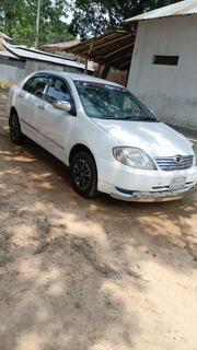 Toyota Corolla 2003 White for sale