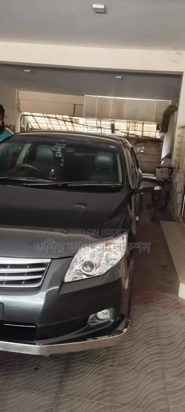 Toyota Axio 2011 Gray