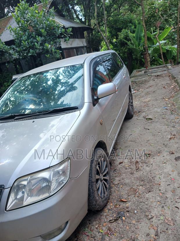 Toyota Corolla Fielder 2005 Silver