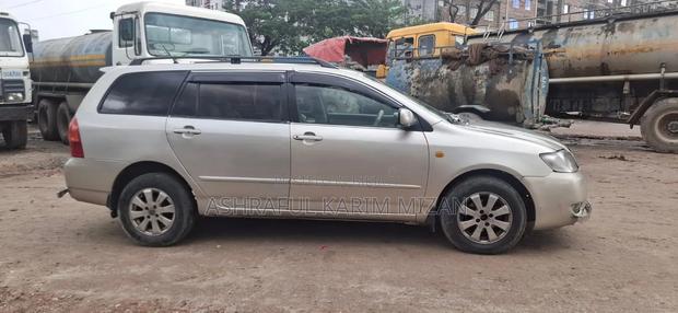 Toyota Corolla Fielder 2005 Gold