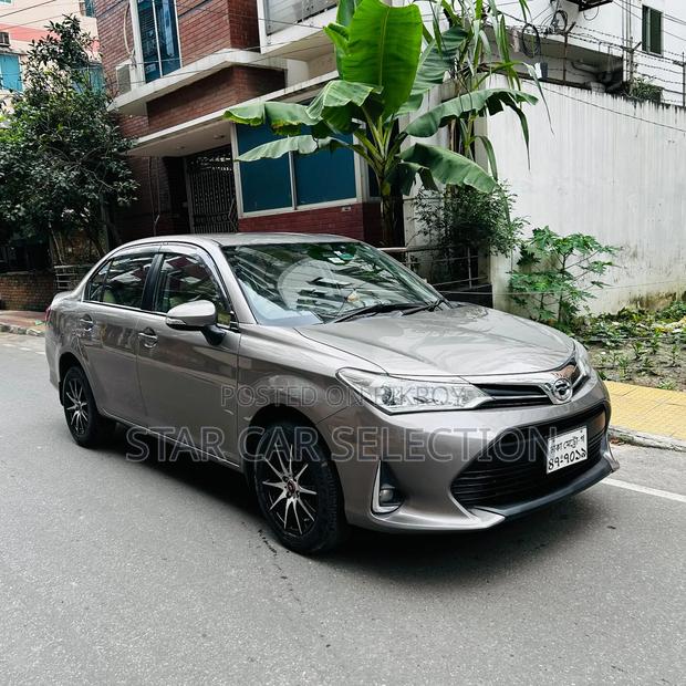 Toyota Axio 2017 Gray