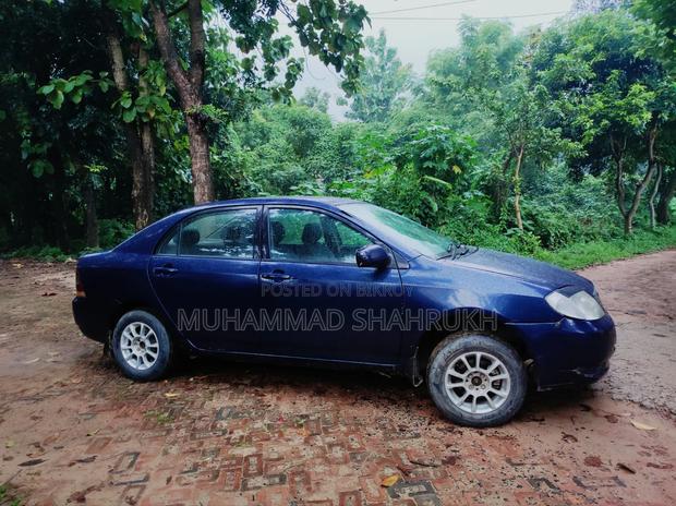 Toyota Corolla Sedan 2003 Blue