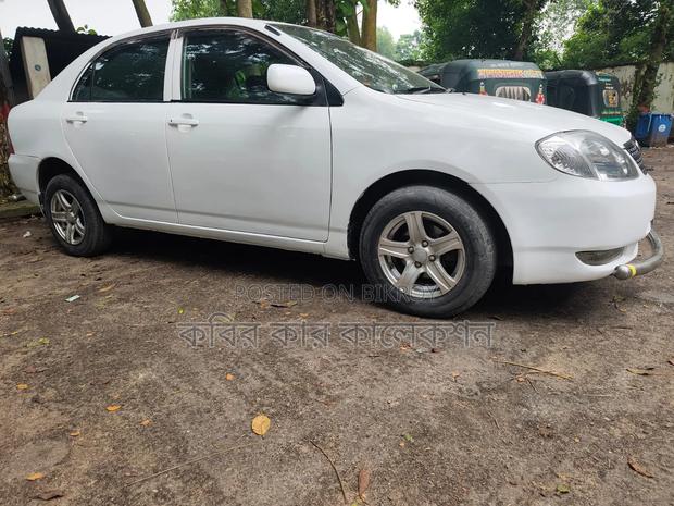 Toyota Corolla 2004 White