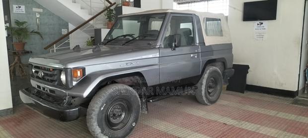 Toyota Land Cruiser 1993 Gray
