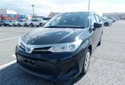 Toyota Corolla 2021 Black for sale