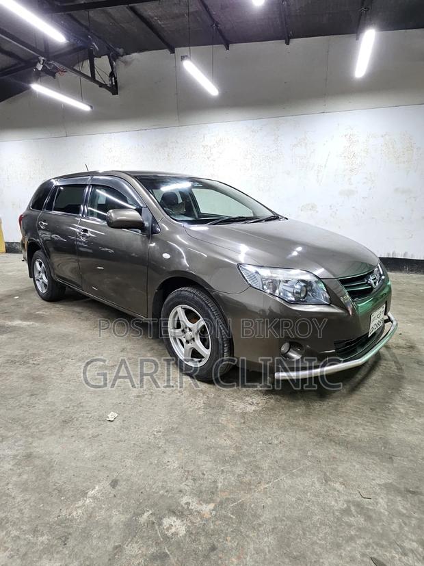 Toyota Axio 1.5 X 2WD 2009 Gray