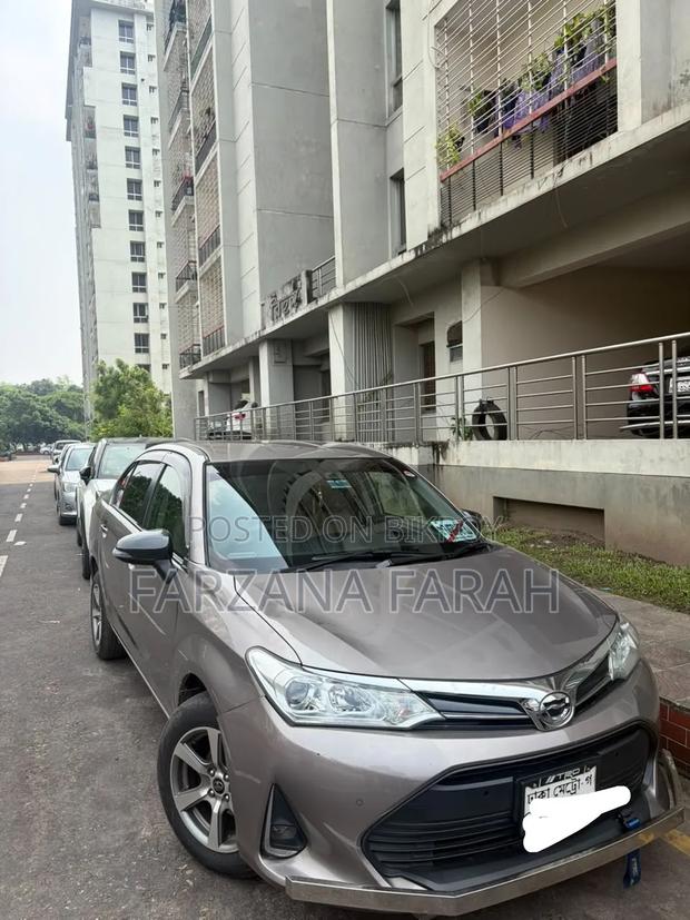 Toyota Axio 1.5 X 2WD 2017 Brown