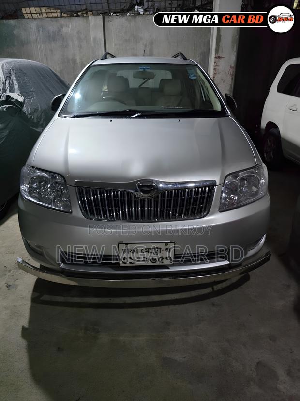 Toyota Corolla Fielder 2005 Silver