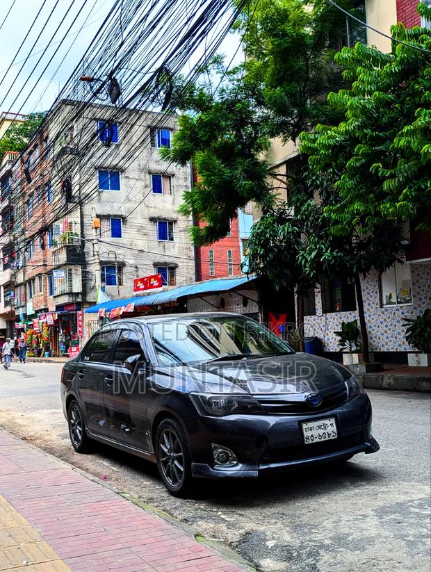 Toyota Axio 2014 Gray