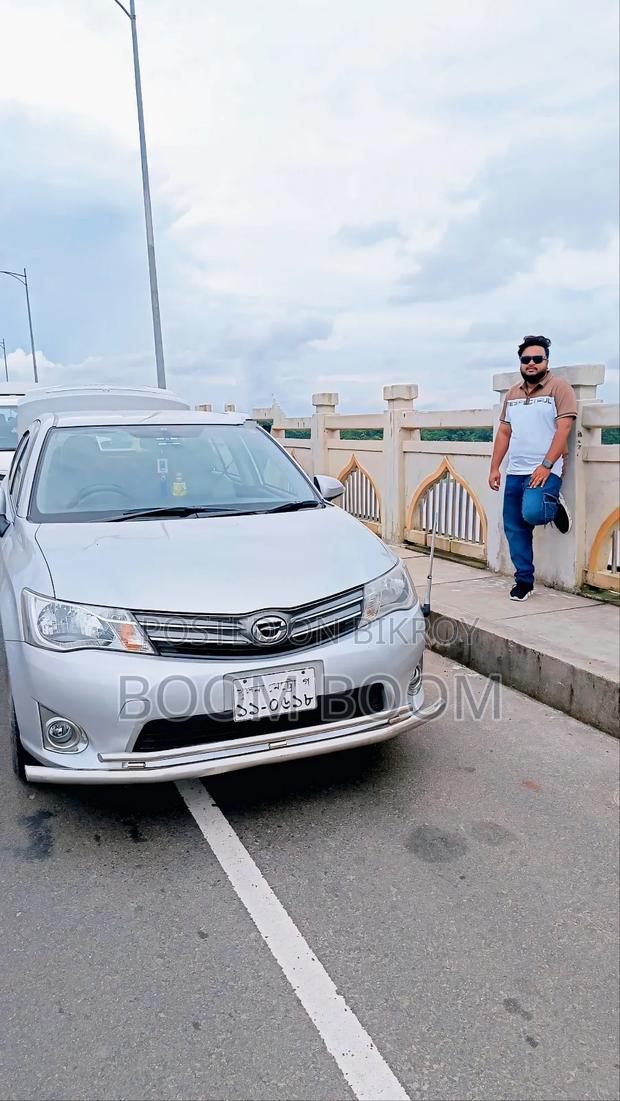 Toyota Axio 2012 Gray