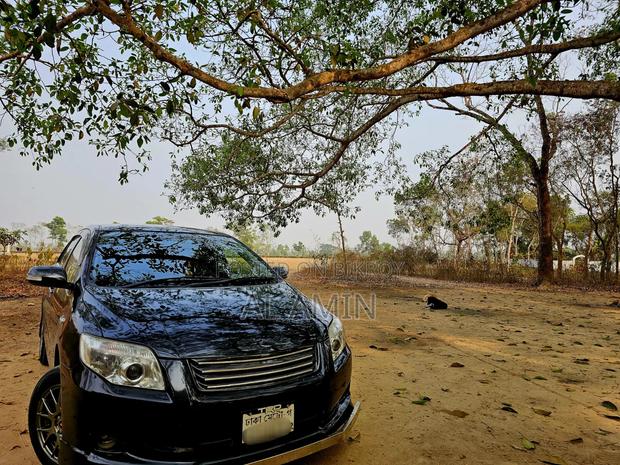 Toyota Axio 2011 Gray