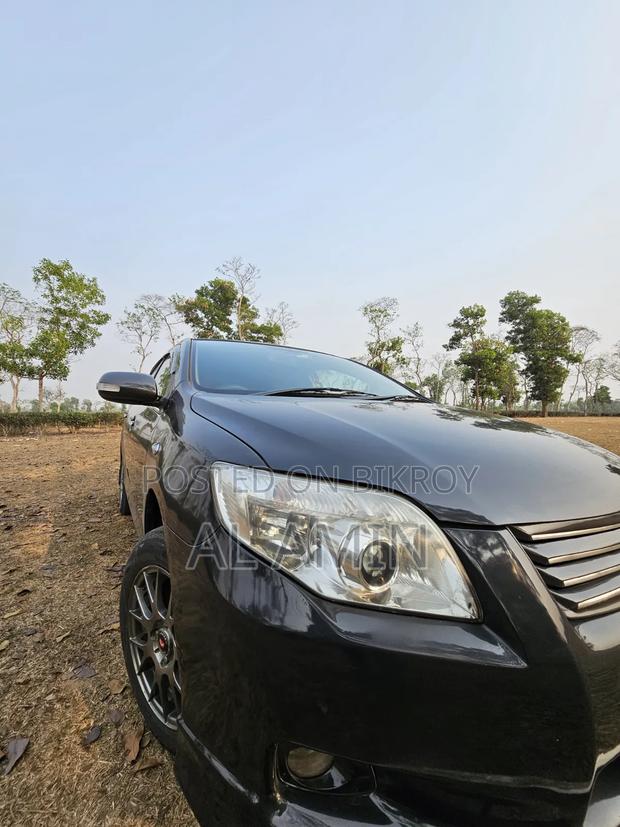 Toyota Axio 2011 Gray