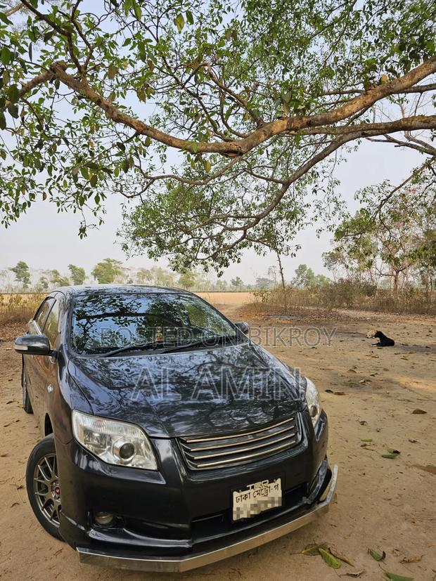 Toyota Axio 2011 Gray