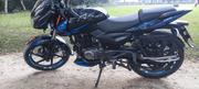 Bajaj Pulsar 2019 Blue for sale