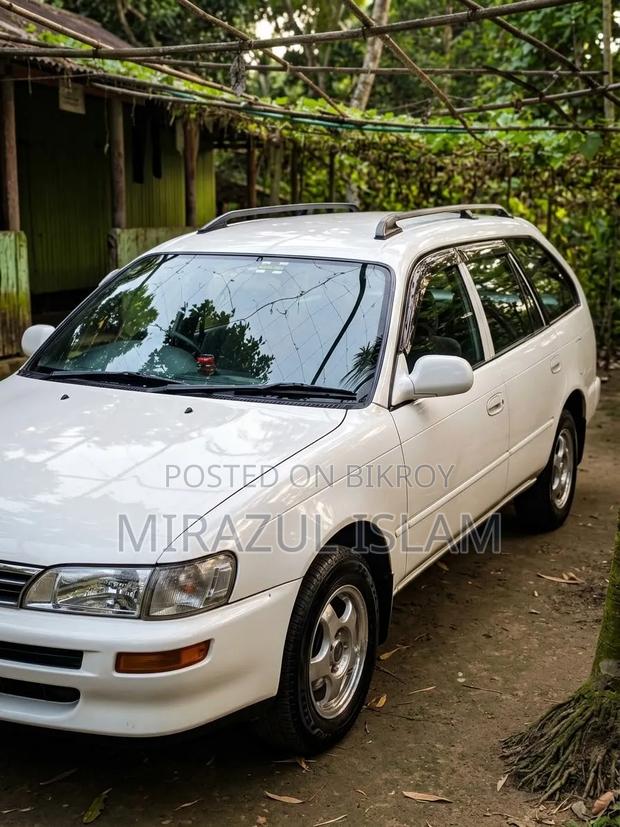 Toyota Corolla 2004 White