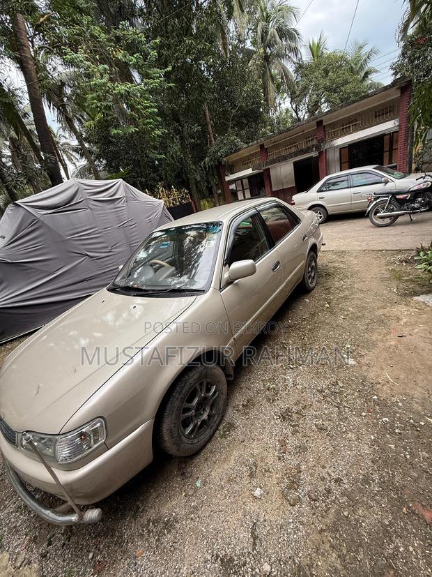 Toyota Corolla 2000 Pearl